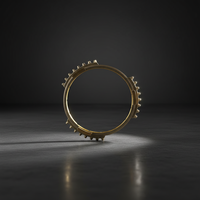 Nouvelle bague de synchronisation de système de transmission OEM 4572859 pour camion Iveco - Marque YSD - Garantie 1 an