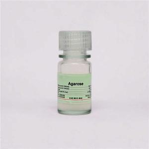 High Quality Scientific Research <strong>AGAROSE</strong> <strong>Powder</strong> CAS 9012-36-6 <strong>AGAROSE</strong> - Product Image 2