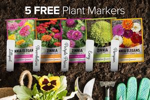 ชุดปลูกต้นไม้กลางแจ้งหลากหลายพันธุ์ 5 สีที่แตกต่างกัน ดึงดูดผีเสื้อและผึ้ง รวมถึงพันธุ์ธัมเบลินา ลิลลิพุต - Product Image 2