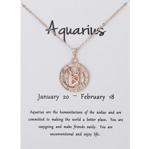 Collane con Ciondolo dei 12 Segni Zodiacali per Uomo <span class=keywords><strong>e</strong></span> Donna, Collana in Oro Rosa con Costellazioni di Ariete <span class=keywords><strong>e</strong></span> <span class=keywords><strong>Leone</strong></span>, Gioielli con Carta Illustrativa - Product Image 3