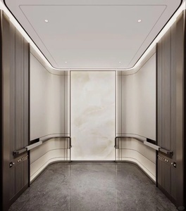 Ascenseur de traction pour passagers, ascenseur électrique domestique, 3 à 6 personnes, 400 kg, 600 kg, 3 étages, ascenseur pour villa résidentielle - Product Image 2