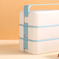 FTS boîte à bento en acier inoxydable en plastique personnalisable adultes pour les femmes ensemble de bureau trois couches coréenne boîte à lunch boîte à lunch