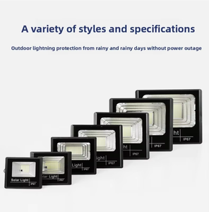 야외 지능형 유도 태양 광 가로등 25W 40W 60W 100W 200W 자동 충전 LED 태양 광 홍수 조명 - Product Image 2