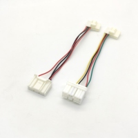 6098-5622 AMP1452349-1 Flry Arnés de Cables Automotrices de 10 Pines, Conector Macho y Hembra