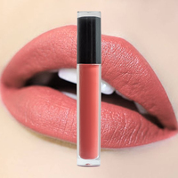 Nouveau produit Rouge à lèvres liquide nude vegan à couleur vive longue durée imperméable 24h anti-adhésif logo Herbal 5ml