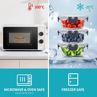 Lot de 10 contenants alimentaires en verre avec couvercles, ensemble de contenants de préparation des repas en verre hermétiques et étanches, boîtes à lunch en verre réutilisables