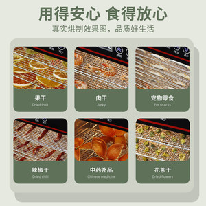 Deshidratador de Alimentos Chigo de 8 Bandejas, Acero Inoxidable, Eléctrico, Gran Capacidad, para Frutas, Verduras, Bocadillos para Mascotas - Product Image 4