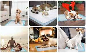 Free Sample extra Large 22"x22" Pet Urine <b>Pads</b> Disposable Puppy Potty Training Pet <b>Pads</b> XL Instantly Absorb Dog <b>Pee</b> <b>Pads</b> - Product Image 6