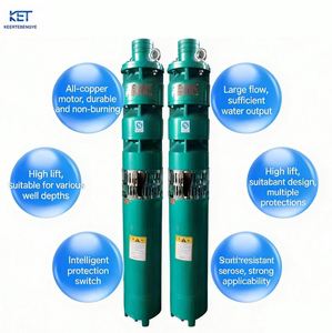 Bomba de Agua Sumergible Tipo Pozo QJ de 25 HP para Riego Agrícola y Extracción de Agua Trifásica de Alta Presión y Alto Caudal - Product Image 6