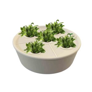 Sistema di Auto-Irrigazione per Piante in Vaso con Sensore di Umidità e Aspirazione Automatica dell'Acqua, Ideale per Casa, Ufficio, Giardino, Cortile - Product Image 4