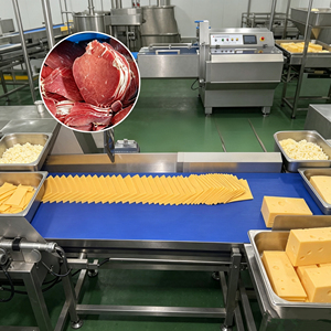 Affettatrice Industriale Automatica per Formaggio e Carne, Macchina Professionale per Tagliare Bistecche e Costine di Maiale, Affettatrice Commerciale per Carne Congelata, Uso Intensivo - Product Image 2