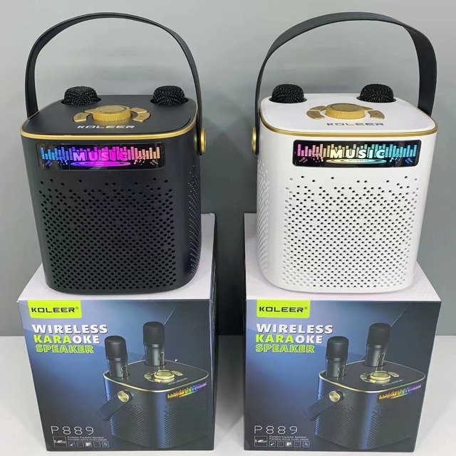 Brand New All-in-One Portable 5.0 Karaoke Speaker Dual Microphones IPX9 Waterproof 14W Output Outdoor RGB LED Lighting Battery