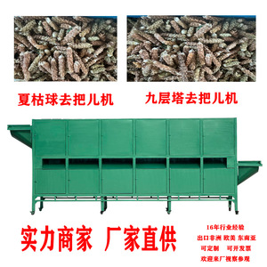 Décortiqueur automatique de poivrons 20 kg/h 380 V pour machine de traitement du piment - Product Image 5
