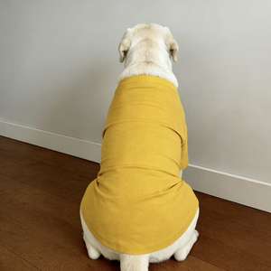 Camiseta sin mangas <span class=keywords><strong>para</strong></span> perro de color liso personalizada al por mayor, ligera, transpirable, protección solar de verano, <span class=keywords><strong>para</strong></span> todas las estaciones, 200 MOQ - Product Image 3