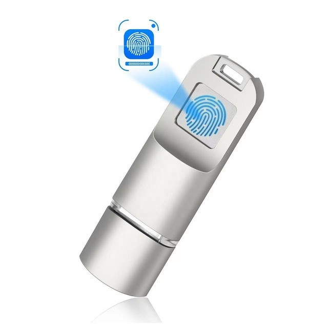 256G Fingerprint Encryption Metal USB 3.0 Type-C USB Flash Drive Large Capacity Dual-use for Mobile Phone Computer for 1-Year
