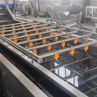 Automatische groente- en fruitwasmachine 800KG/H roestvrijstalen wasmachine Commerciële apparatuur voor het reinigen van producten