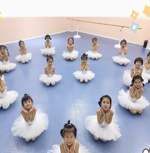 Tutù 2025 per bambine gonna per bambini allenamento di danza del cigno indossare abiti <span class=keywords><strong>Tutu</strong></span> in Costume da <span class=keywords><strong>Ballerina</strong></span> - Product Image 5