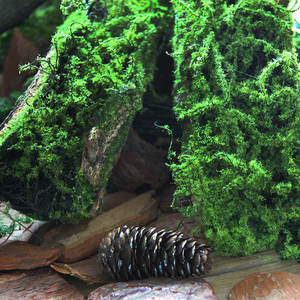 Mousse artificielle en plastique écorce d'<span class=keywords><strong>arbre</strong></span> mur d'herbe mur vert artificiel maison jardin écorce d'<span class=keywords><strong>arbre</strong></span> décor - Product Image 3