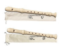 Flûte à bec soprano en plastique de bonne qualité 32,5x3,2CM avec emballage pour performance professionnelle