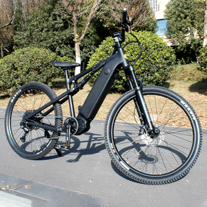 Ristar Customization Riemenantrieb E-Bike MTB 29 Zoll Mittelmotor Trekking E-Bike Herren Spezialisiertes Mountainbike RSD-409 Akku Fat Ti - Product Image 5