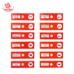 <b>Microscope</b> slides, 12 slides/box, for insect creative science experiments for primary and secondary school students, plastic - Product Image 4