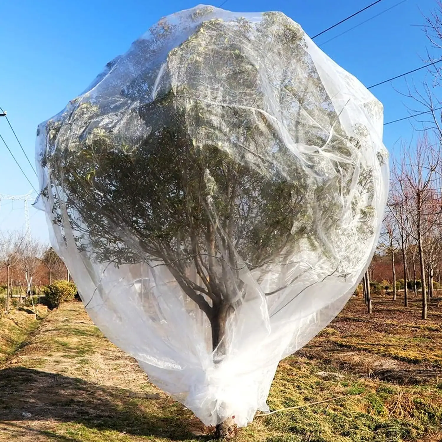 Ready to Ship 25*25*60inch Anti Insect Bags USA Market Fruit Saver Insect Net Bag Tree Defender Fruit Tree Insect Proof Nets