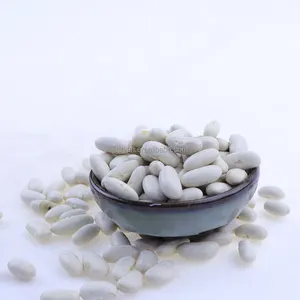 Wholesale Dried Organic Long Shape Bulk White Kidney Bean Butter Beans