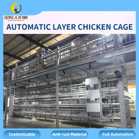 Vente en gros de cages automatiques pour poules pondeuses, équipement d'élevage avicole, vente directe d'usine, 90-160 oiseaux par cage, personnalisable