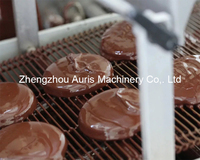 Machine de ligne de production d'enrobage de chocolat de framboise de fraises congelées