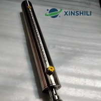 Cilindro Hidráulico de Doble Acción de Acero Inoxidable 304/316L con Recubrimiento de Cromo Duro, de Alta Precisión y Capacidad de Carga/Recorrido Personalizable XSL
