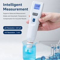 Alat Ukur PH Digital Portabel OEM Grosir Dengan Layar Temperatur untuk Pengujian Cairan Laboratorium, Dilengkapi Dudukan Pengisian Daya Portabel