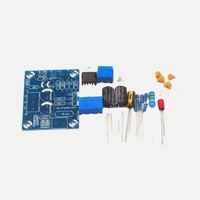 Module d'amplificateur audio mono canal 20W DIY, kit de carte d'amplificateur de haut-parleur portable avec accessoires PCB