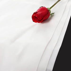 50 Năm Kinh Nghiệm Sản Xuất Bán Tại Nhà Máy Đĩa Lọc Rây AO NI Lông Cấp Thực Phẩm Gg 10 Micron Màn Lưới Rây 600 - Product Image 6