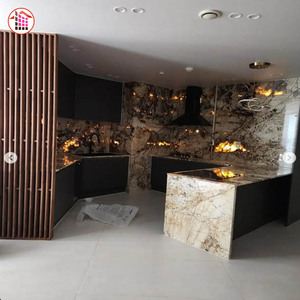 Роскошные столешницы для кухни из гранита Patagonia, настенные плиты из керамогранита, столешницы из спеченного камня, керамическая напольная плитка для обеденного стола - Product Image 3