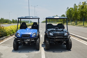Camion de transporteur électrique de la <span class=keywords><strong>ferme</strong></span> UTV 4X4 de 5kw/8KW deux sièges avec la CEE - Product Image 3