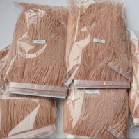 Plumes d'autruche blanchies longues et colorées, modèle varié teint HS, pour la confection de costumes et d'artisanat DIY