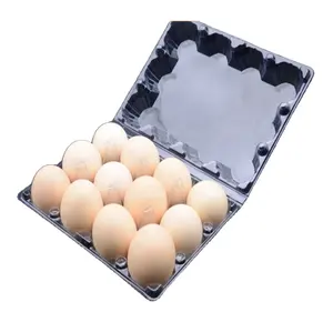 PVC 10 holes plastic type egg crate made in China