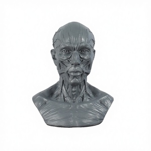 Escultura de Resina de Arte Popular, Busto y Cabeza Humana, Modelo Musculoesquelético para Decoración de Mesa de Halloween - Product Image 4