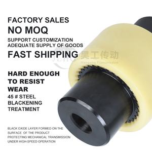 ปั๊มเกลียว20มม. RGF NL2 TGL มอเตอร์เหล็กไฮดรอลิกมอเตอร์ข้อต่อเพลาที่มีความยืดหยุ่นปลอกไนลอนเกียร์ฟันเฟืองแข็งแรง - Product Image 5