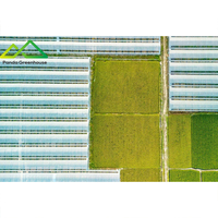 Landbouwkas met meerdere overspanningen, van gegalvaniseerd staal, geschikt voor zaailingkweek en planten.
