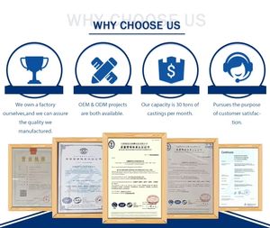 맞춤형 ZHENZHE 펠튼 휠 터빈 프랜시스 터빈 러너 청동/황동/스테인리스 스틸 임펠러 수력 터빈 워터 펌프 - Product Image 6