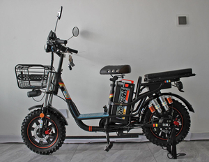 Vélo Électrique Rapide en Stock Local Outre-mer 25km/h pour Adultes, Pneus Larges, Suspension Intégrale, Moteur 48V, Vélo Tout-Terrain Personnalisable - Product Image 2