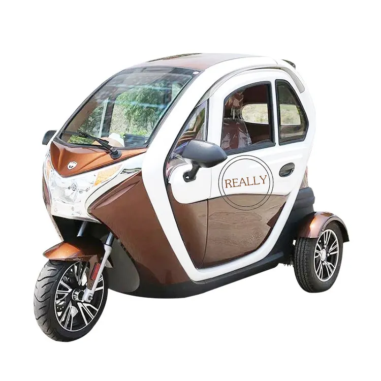 Triciclo eléctrico completamente cerrado OEM, 3 ruedas, coche de pasajeros con batería personalizada
