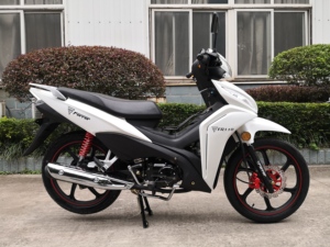 รถมอเตอร์ไซค์คลาสสิคเวฟคับ Fast Rider รุ่นฮอตเซลล์ 110cc 125cc แบบอันเดอร์โบน คาร์บูเรเตอร์ ความเร็วเกิน 80 กม./ชม. สำหรับผู้ใหญ่ ส่งตรงจากโรงงาน - Product Image 2