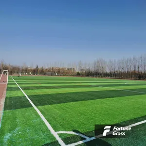 Synethic futbol yapay çim 50mm Bi renk synegrass çim çin tedarikçisi