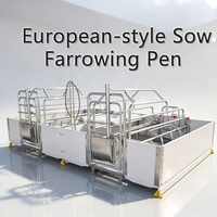 Cage de maternité complète anti-écrasement pour truies avec abreuvoir en acier inoxydable et lampe chauffante pour élevage porcin – Fournisseur direct usine