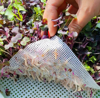 Tapis de maille réutilisable en Gel de silice, tapis de maille en Silicone, filet de plantation papier pour plateau de semis de plantes hydroponiques