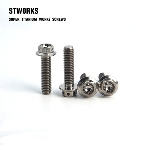 Gr5 Titane Boulons M10 Hexagonal Bride Tête Vis Automobile Moto Conversion - Product Image 5