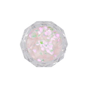 Nagelglitzer Schillerndes Meerjungfrauen-Feinstpuder Gemischte Grob- und Feinkörnige Größen Schmetterling Stern Blume Herz Nageldekorationen Opulent - Product Image 5
