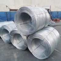 Fil d'acier galvanisé à chaud de qualité supérieure, fourni directement par l'usine, 0,5 mm, 1 mm, 2 mm, 3 mm, 4 mm, bobine d'acier galvanisé à faible prix